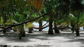 Isla de Roatan (ロアタン島)への船旅 - ホンデュラス - カリブ海 - MSC クルーズ