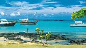 Port Louis ( ポートルイス) への船旅　- モーリシャス - 南アフリカクルーズ - MSC クルーズ