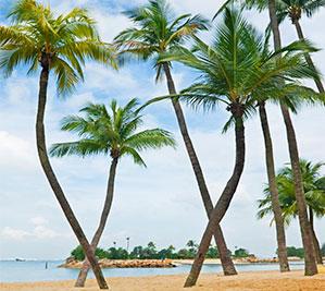 Sentosa island