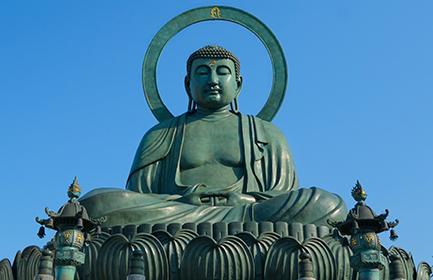 豊かな自然美